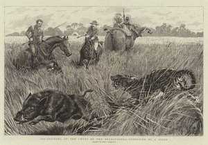 Chasse au cochon sur les Churs du Bramapootra, surpris par un tigre